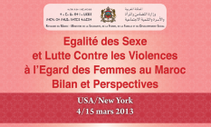 Promotion de l’égalité et la lutte contre la violence à l’égard les femmes /date de parution : 2013/ Langue disponible : Arabe