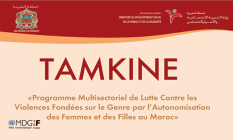 Tamkine, programme multisectoriel de lutte contre les violences fondées sur le genre par l’autonomisation économique des femmes et des filles / Participation politique des femmes, levier du développement social / date de parution : 2009 / version disponib