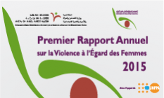 Premier rapport annuel sur la violence à l’égard de la femme 2015