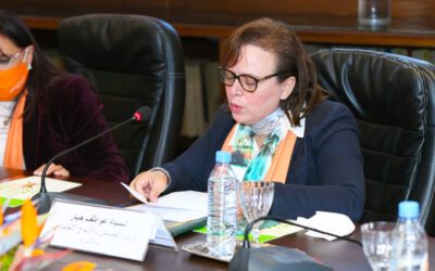 السيدة الوزيرة عواطف حيار: منخرطون بفعالية لتنزيل كل الالتزامات الواردة في “إعلان مراکش ولوقف العنف ضد النساء”