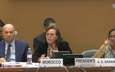 Mme la ministre Aawatif Hayar met en exergue les efforts du Maroc pour la promotion des droits des femmes, devant le CEDAW